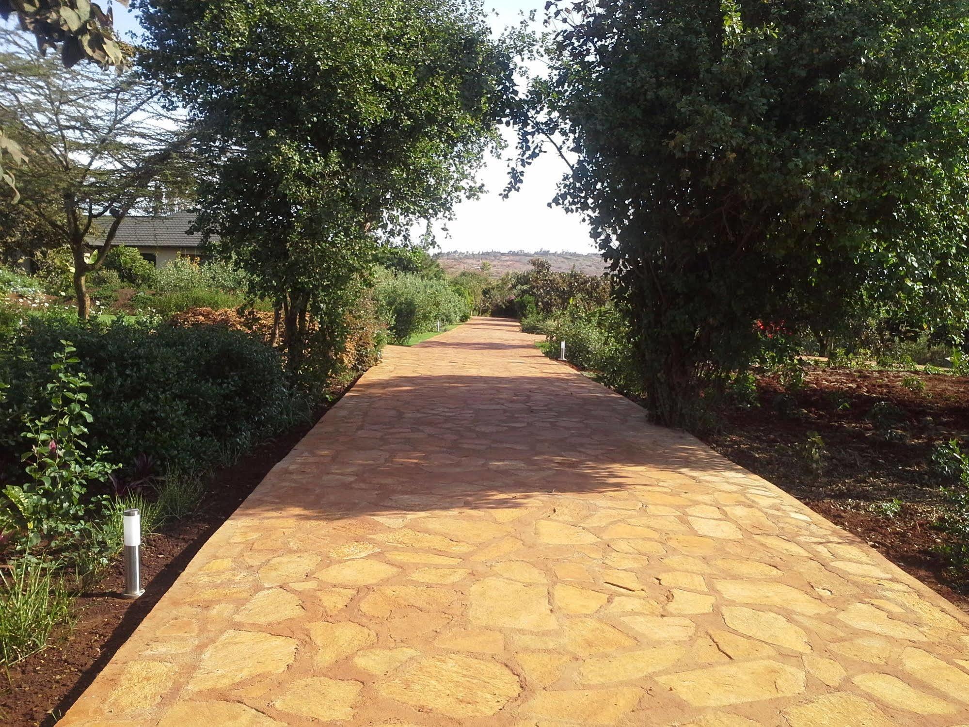 נגורונגורו Acacia Farm Lodge מראה חיצוני תמונה